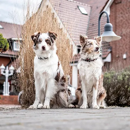 Neuwarft Altbau Hotel 3*