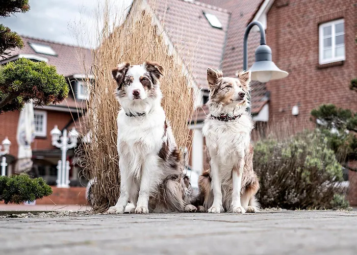 Neuwarft Altbau Hotel 3*